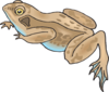 Brown And Blue Frog Clip Art